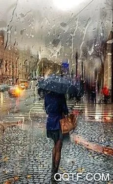 �컭��׿���ֻ���