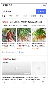 �쿴�����2026�ٷ����°汾