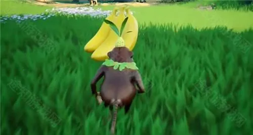 ����������Ȱ漪������