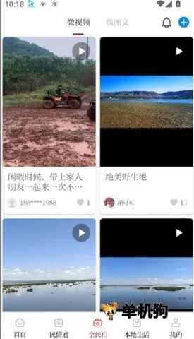 �����۲�2026����