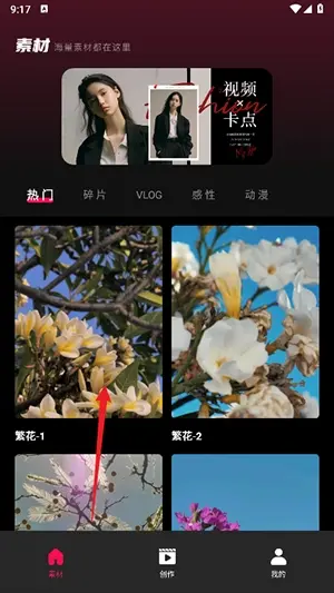 tibni-国际创作者服务平台