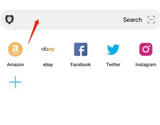 黑狮浏览器BL(手机浏览器应用)