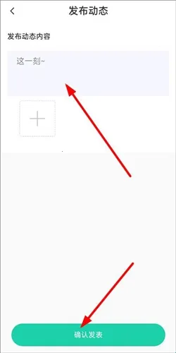 Cat Translation2026官方最新版本
