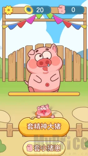 ץ�˸���2026����