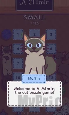 ���׶������ֻ���