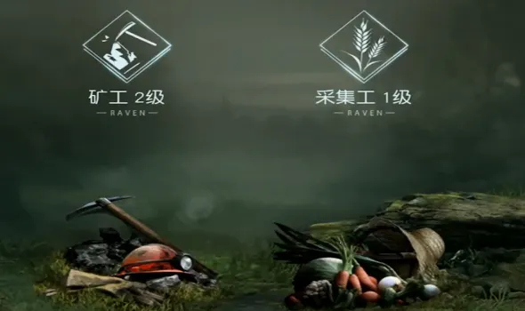 ʳ������32026����