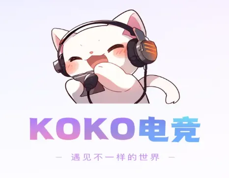 koko�羺ƽ̨