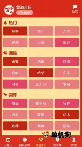 199������(������ѯ����)