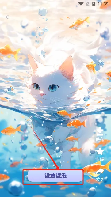 ����è2026���°汾