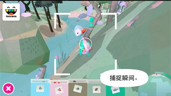 Toca Nature2026����