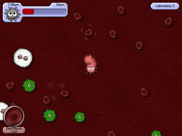 ��ζ���������