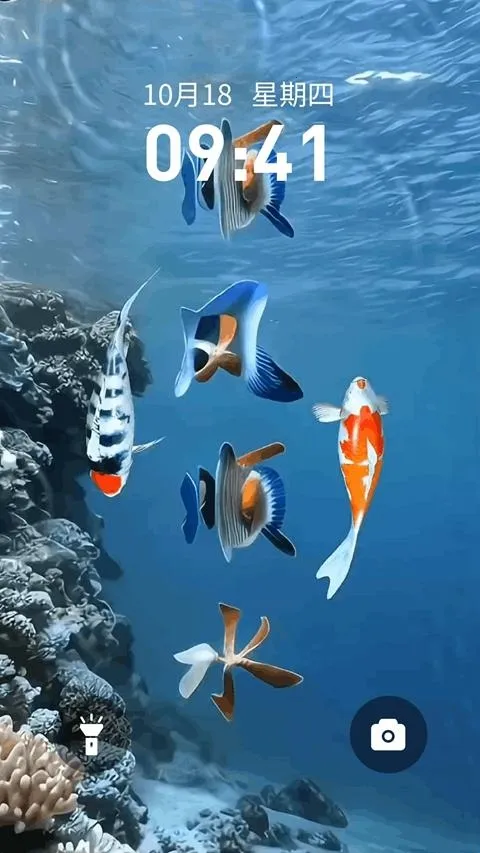 ��������ֽ2026����