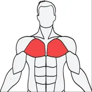 Muscle Wiki(������������)v3.0.9 ��Ѱ�