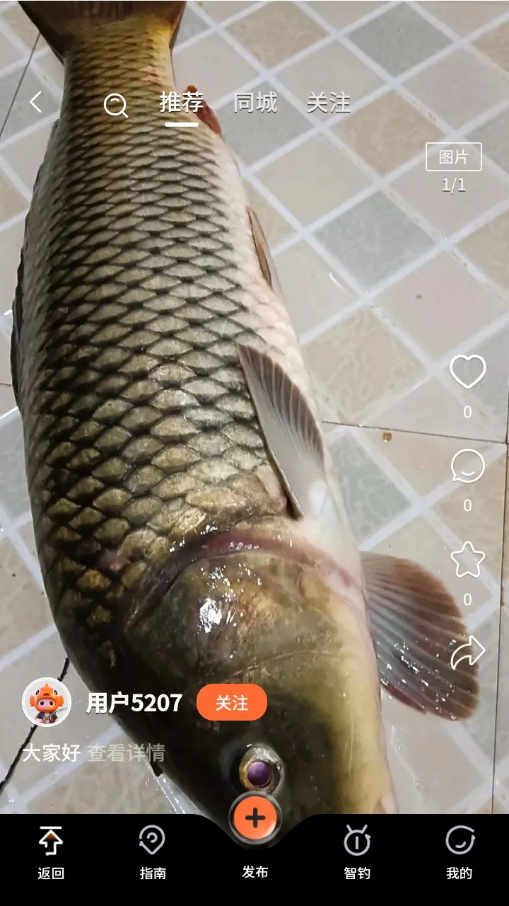 С����2026�ٷ�����