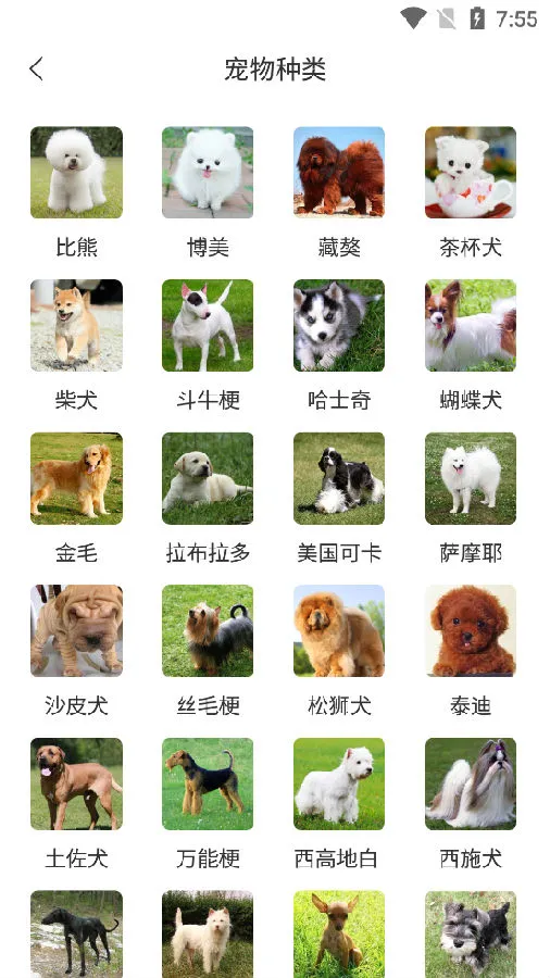 ���﷭����ȫ������