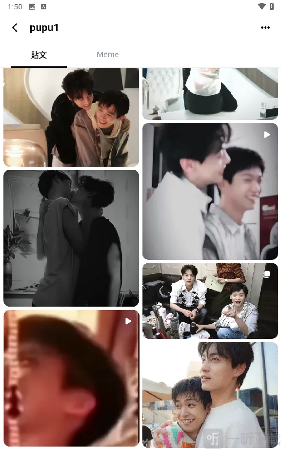 memefans官方正版下载 memefans官方正版下载