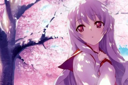 i手机管家最新手机版 i手机管家最新手机版