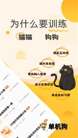 宠物记2026官方最新版本 宠物记2026官方最新版本