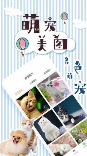 人猫翻译交流器(宠物语言交流) 人猫翻译交流器(宠物语言交流)