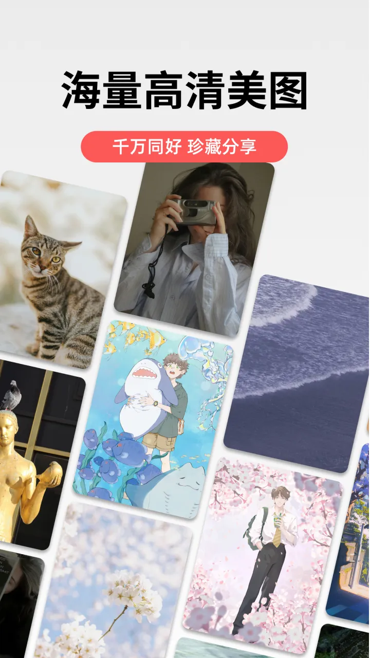 堆糖2026最新版本 堆糖2026最新版本