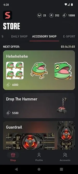 ValoStore(瓦罗兰特交易软件)