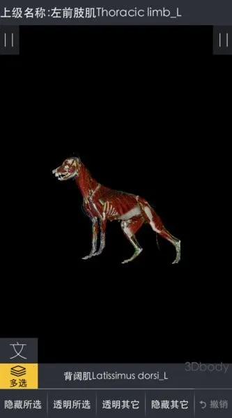 3dbody宠物最新下载 3dbody宠物最新下载