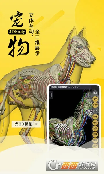 3dbody宠物最新下载 3dbody宠物最新下载