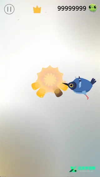 疯狂的鸽子(休闲点击闯关手游)