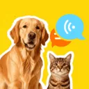 �ȳ�è����ѷ���2026���ذ�װv1.0.2 �ٷ�����