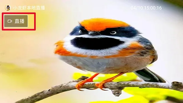 С��Ϻֱ�������ֻ���