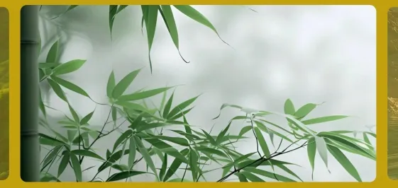 怡然时光(壁纸软件) 怡然时光(壁纸软件)
