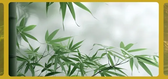 怡然时光(壁纸软件) 怡然时光(壁纸软件)